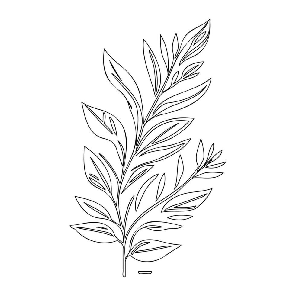 parallel leaf floral outline illustration sketch vector