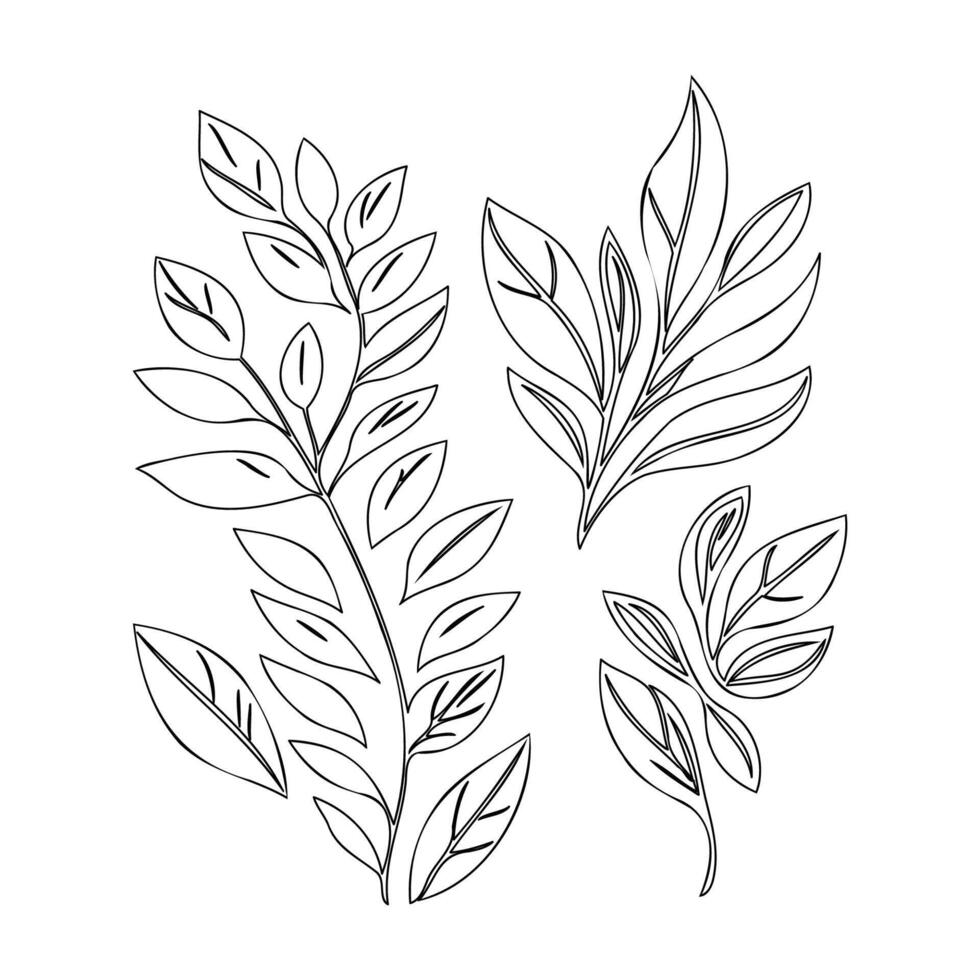 parallel leaf floral outline illustration sketch vector