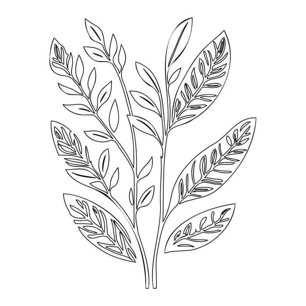 parallel leaf floral outline illustration sketch vector