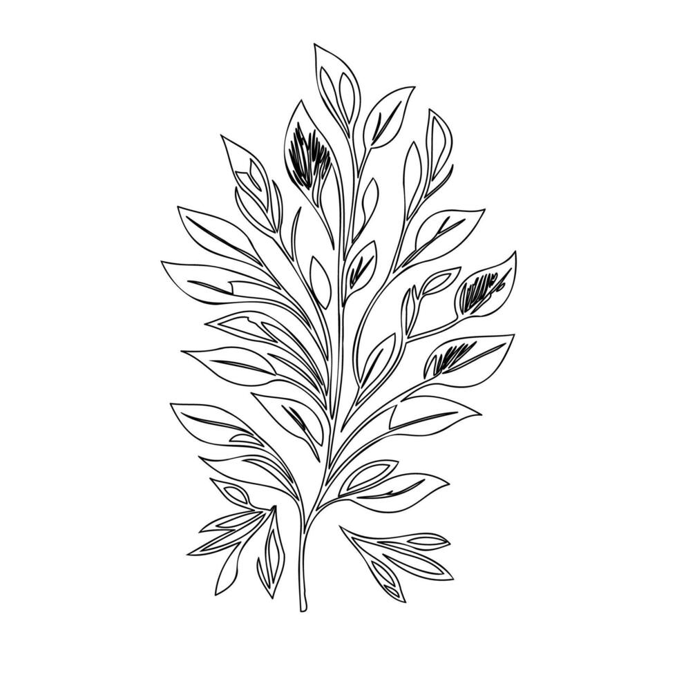parallel leaf floral outline illustration sketch vector