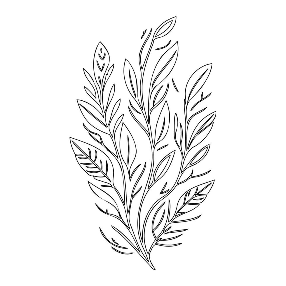 parallel leaf floral outline illustration sketch vector