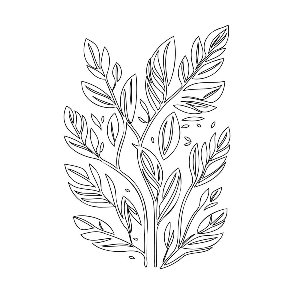 parallel leaf floral outline illustration sketch vector