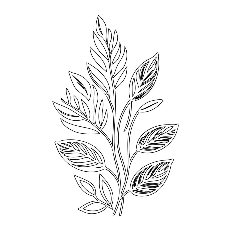 parallel leaf floral outline illustration sketch vector