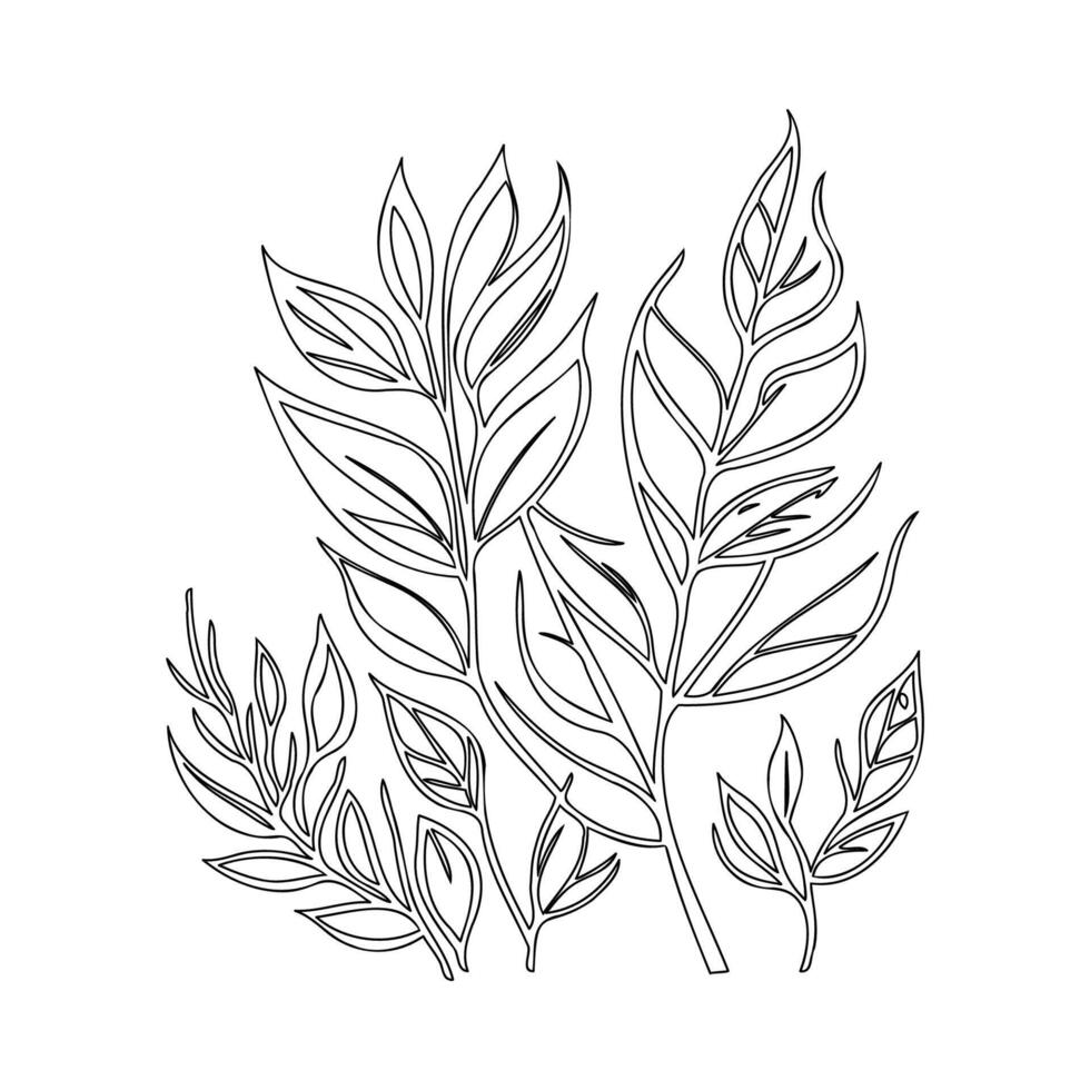 parallel leaf floral outline illustration sketch vector