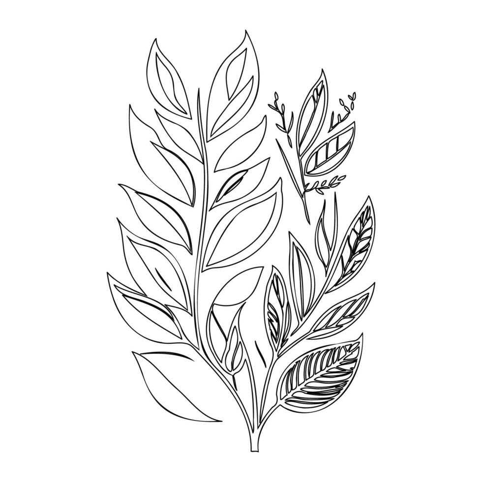 parallel leaf floral outline illustration sketch vector