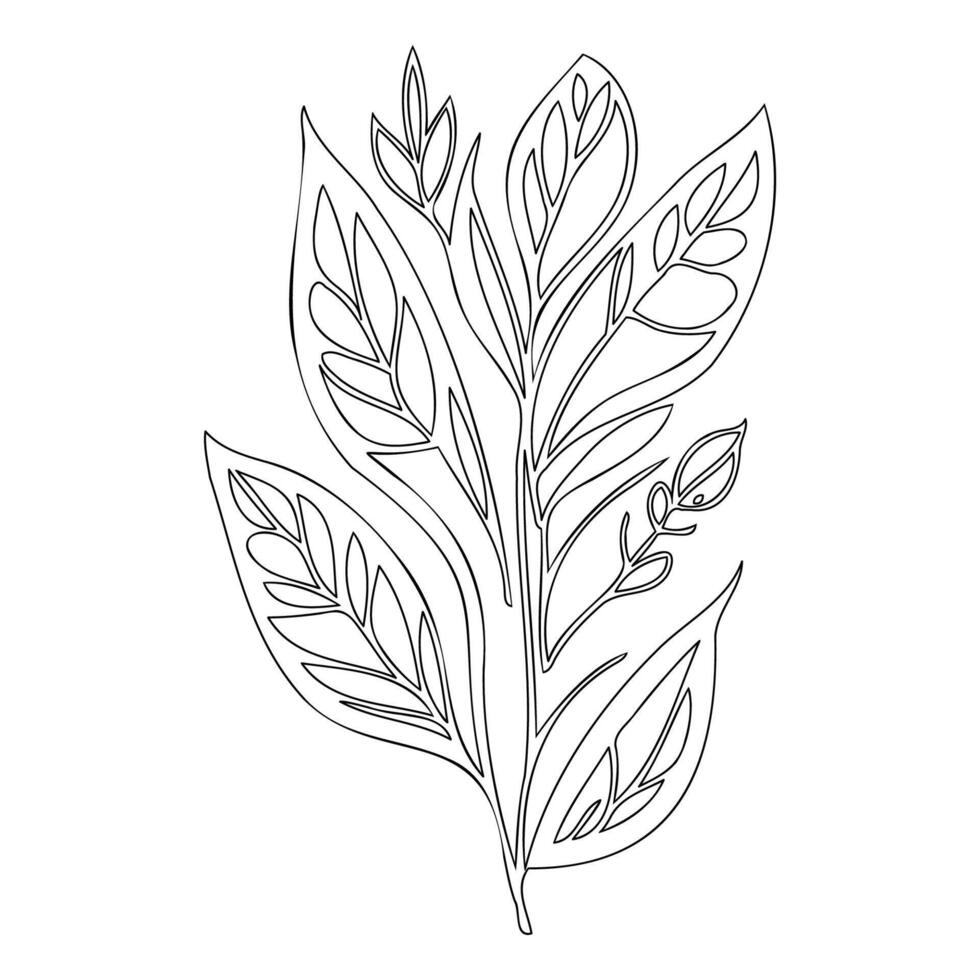 parallel leaf floral outline illustration sketch vector