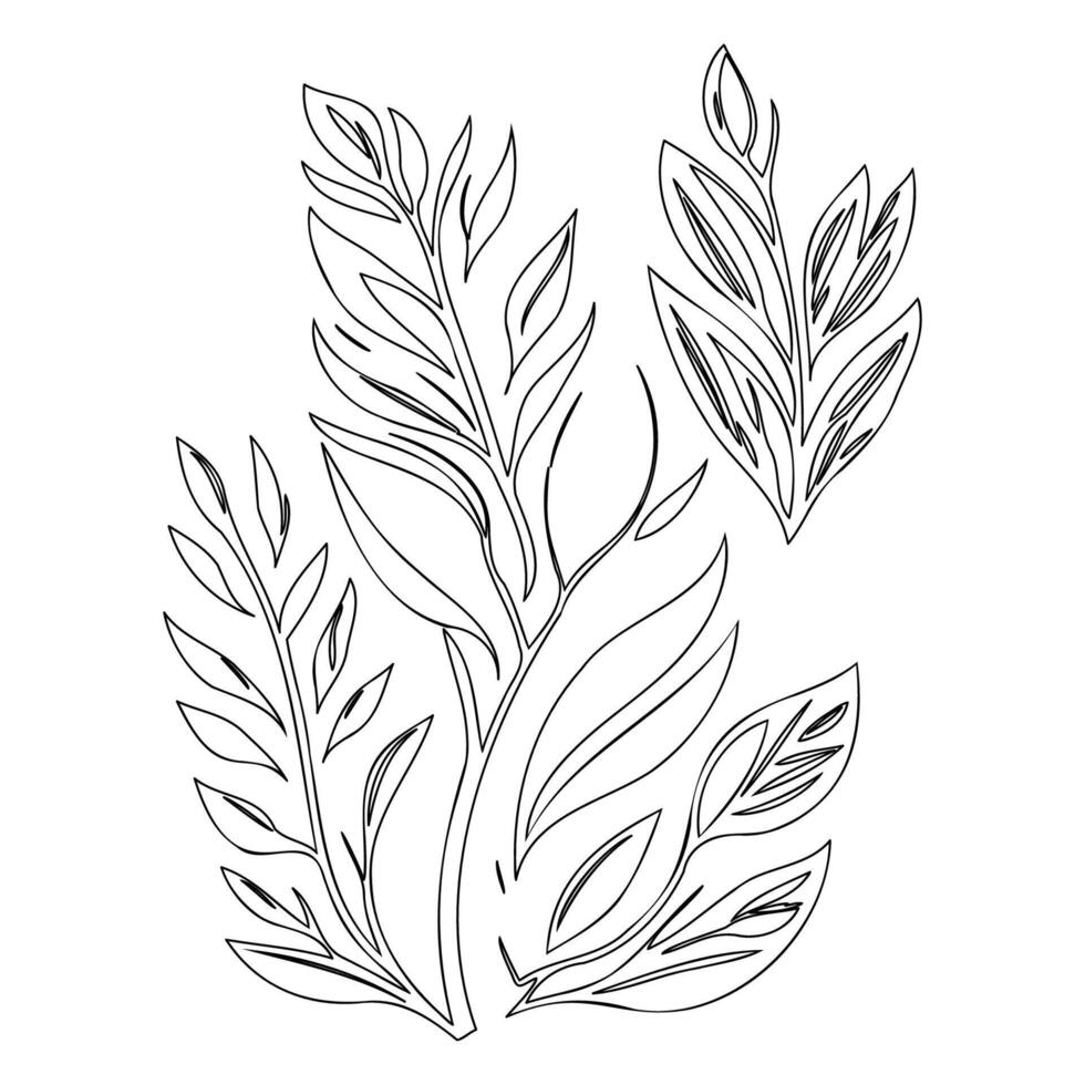 parallel leaf floral outline illustration sketch vector