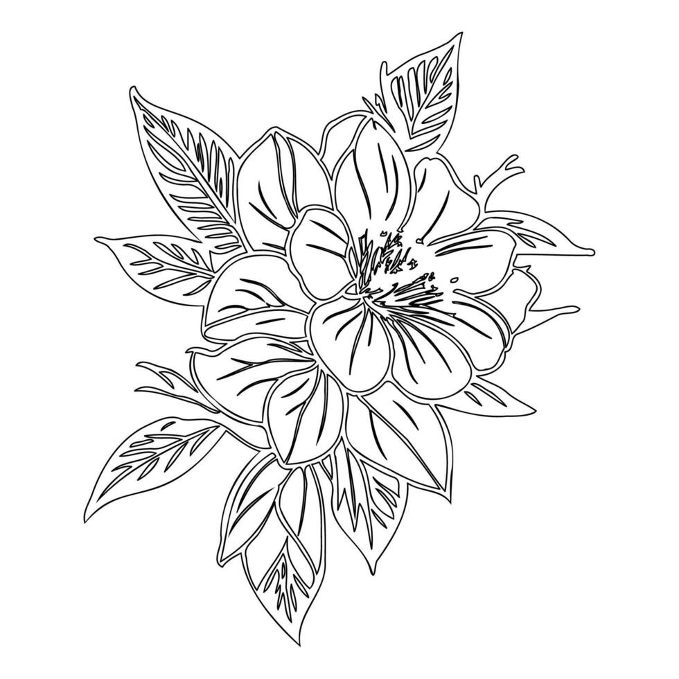 sakura flower outline illustration sketch vector