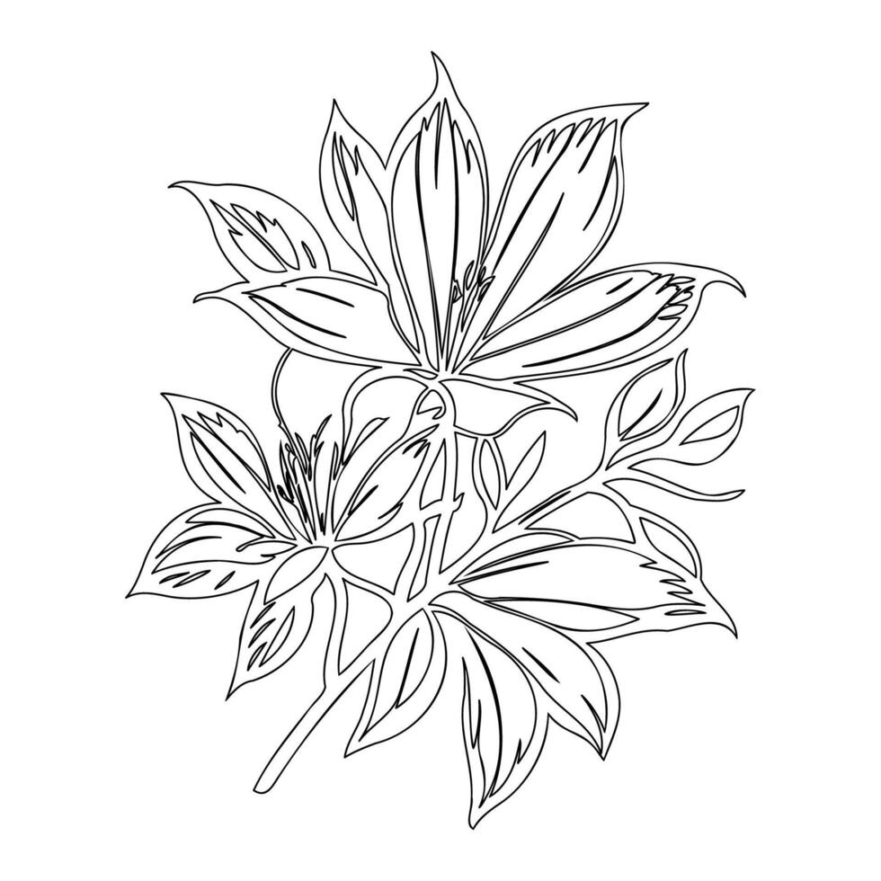 sakura flower outline illustration sketch vector