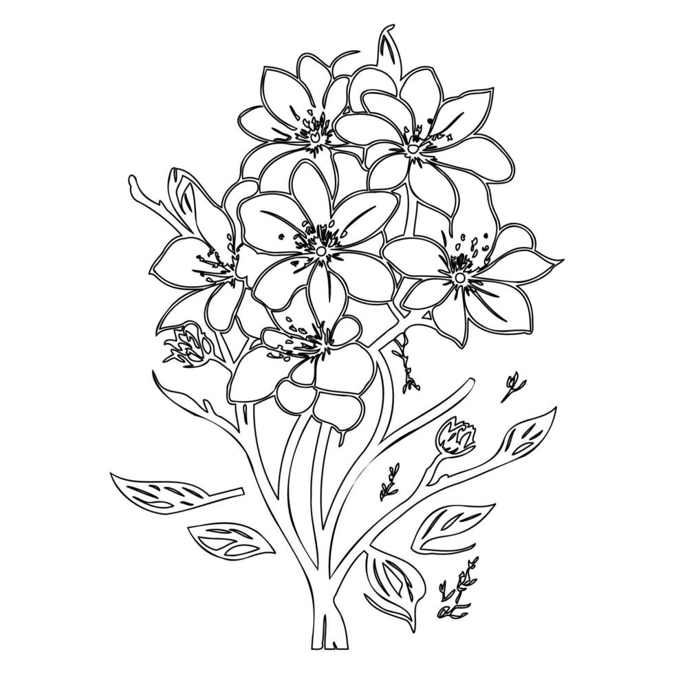 sakura flower outline illustration sketch vector