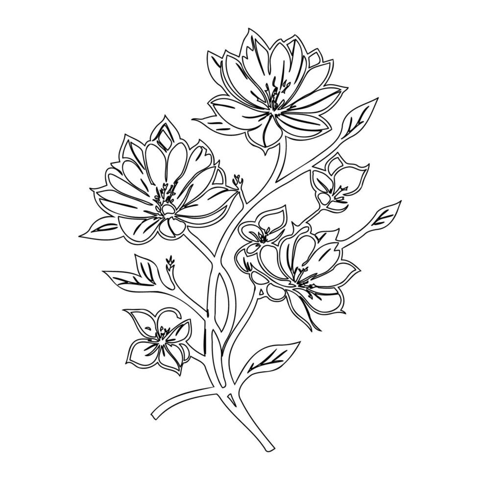 sakura flower outline illustration sketch vector