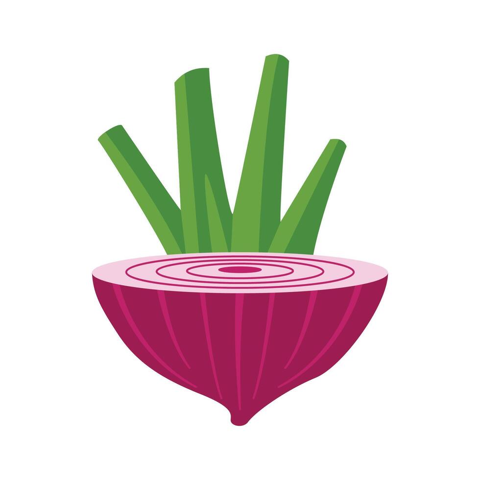 Sliced of Fresh Red Onion Food Vegetable with Leaf vector