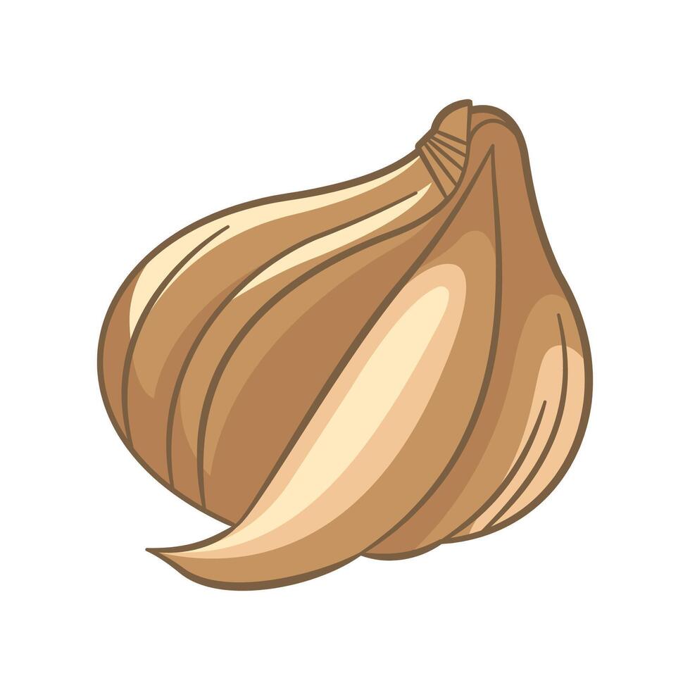 Garlic Cloves Spice Food Vegetable vector