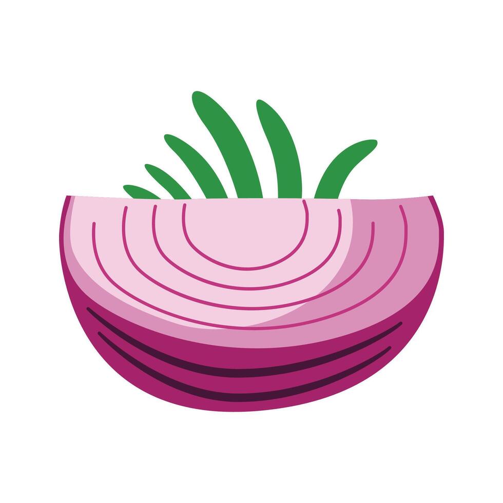 Sliced of Fresh Red Onion Food Vegetable with Leaf vector