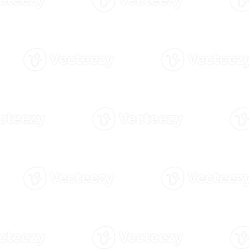 traditional pattern of flower png