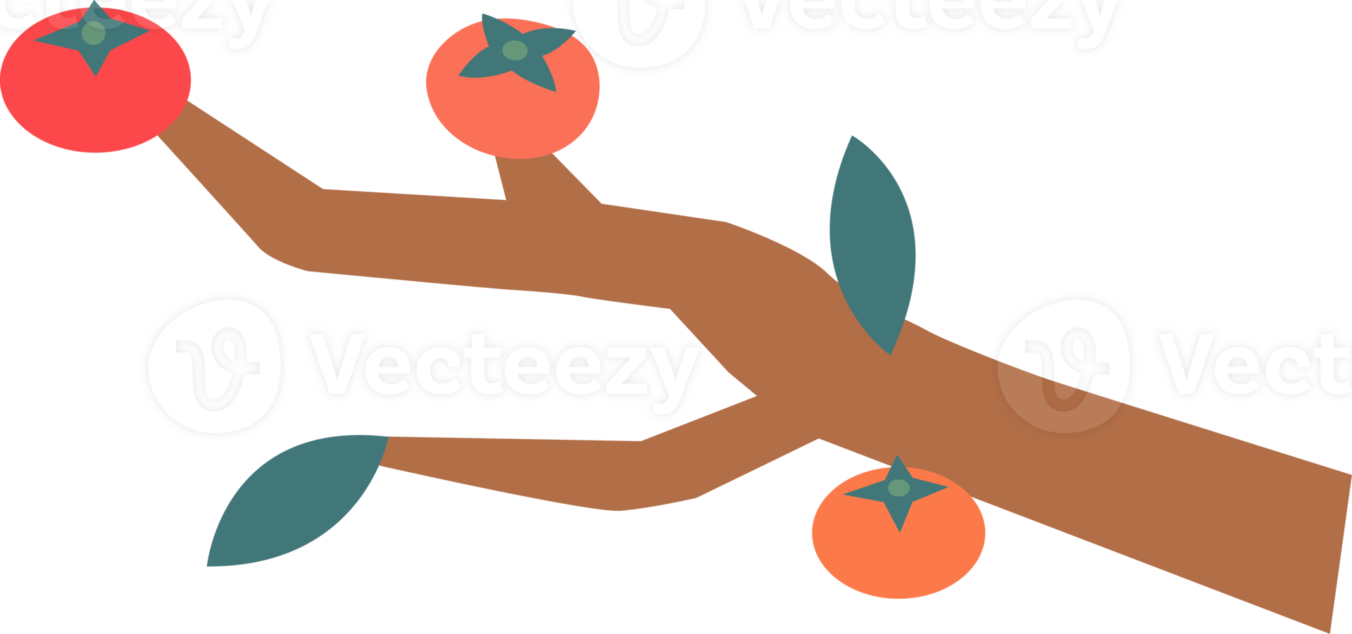 a persimmon tree png