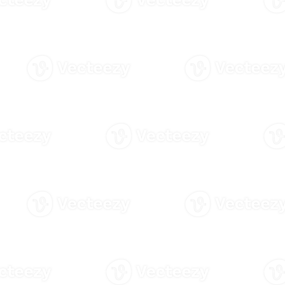 traditional pattern of flower png