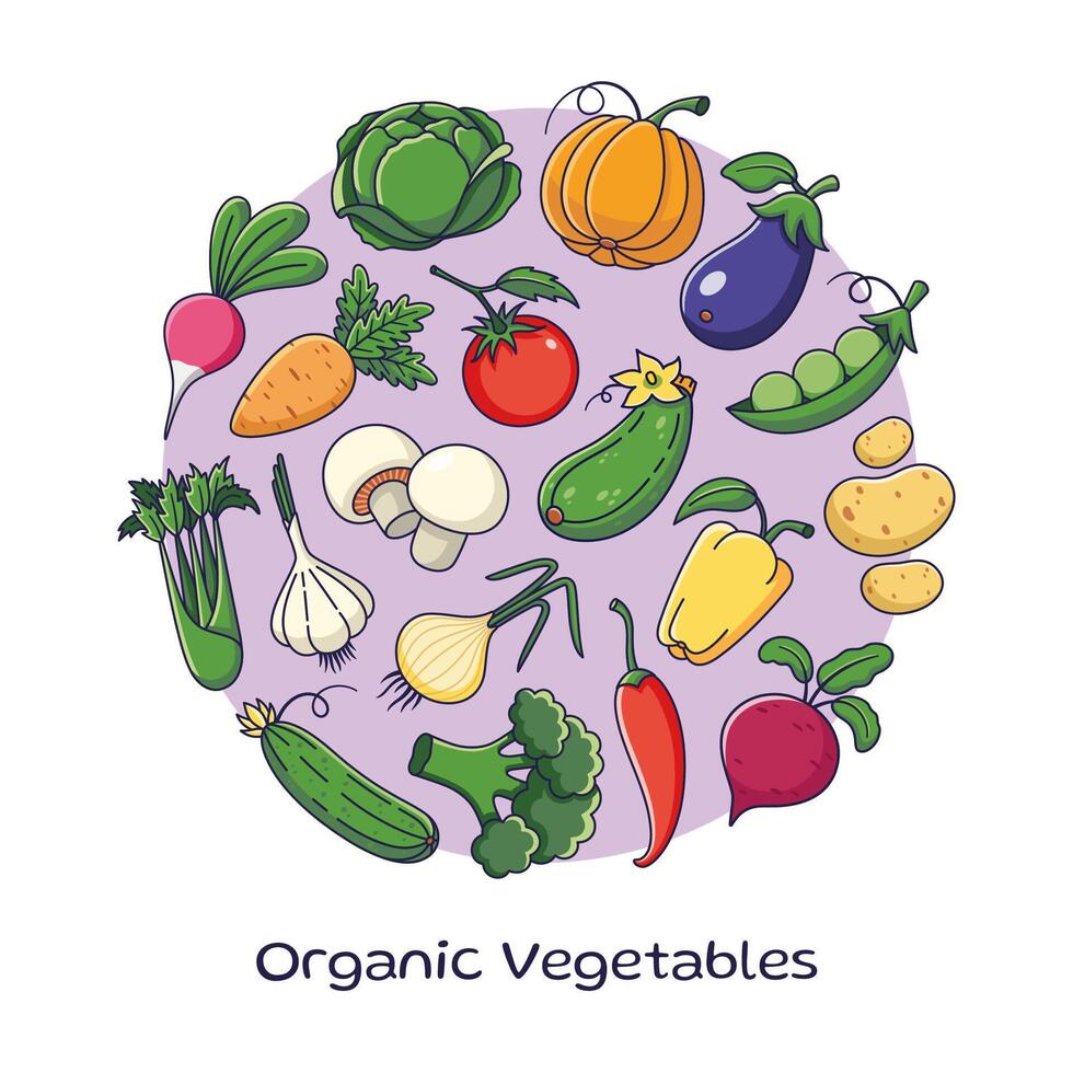 Cute vegetables in cartoon style. Outline Vegetables collection template. Veggies icons, stickers, bundle. Organic vegetables round frame. Illustration isolated on white background. vector