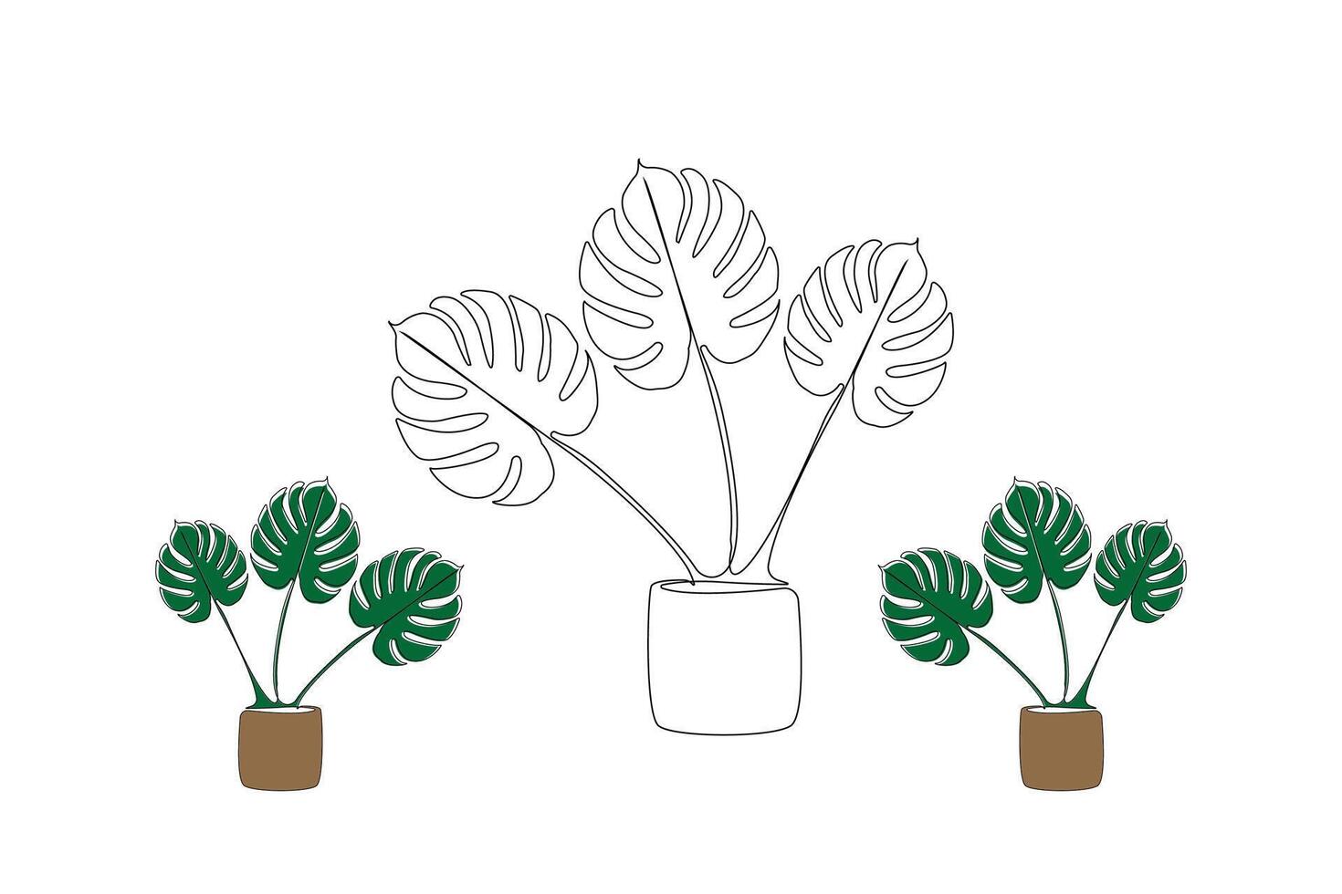 Monstera plant hand-drawn continuous one-line drawing in doodle style isolated on white background vector