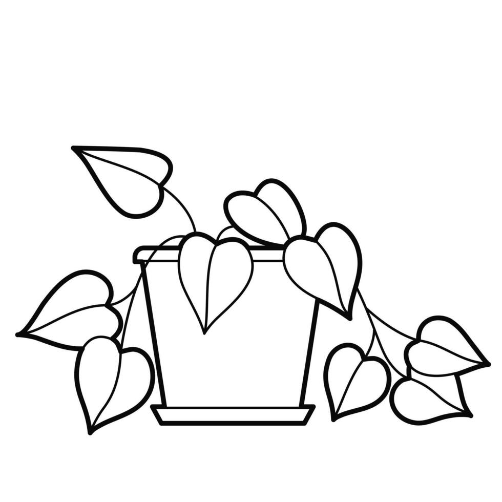Golden Pothos in pot, home decor. Popular houseplant. Outline illustration, design elements vector