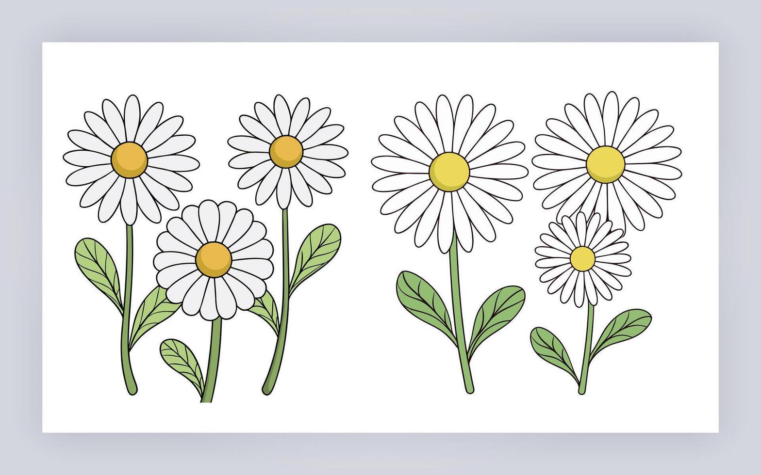 coloring pages with flowers and leaves vector