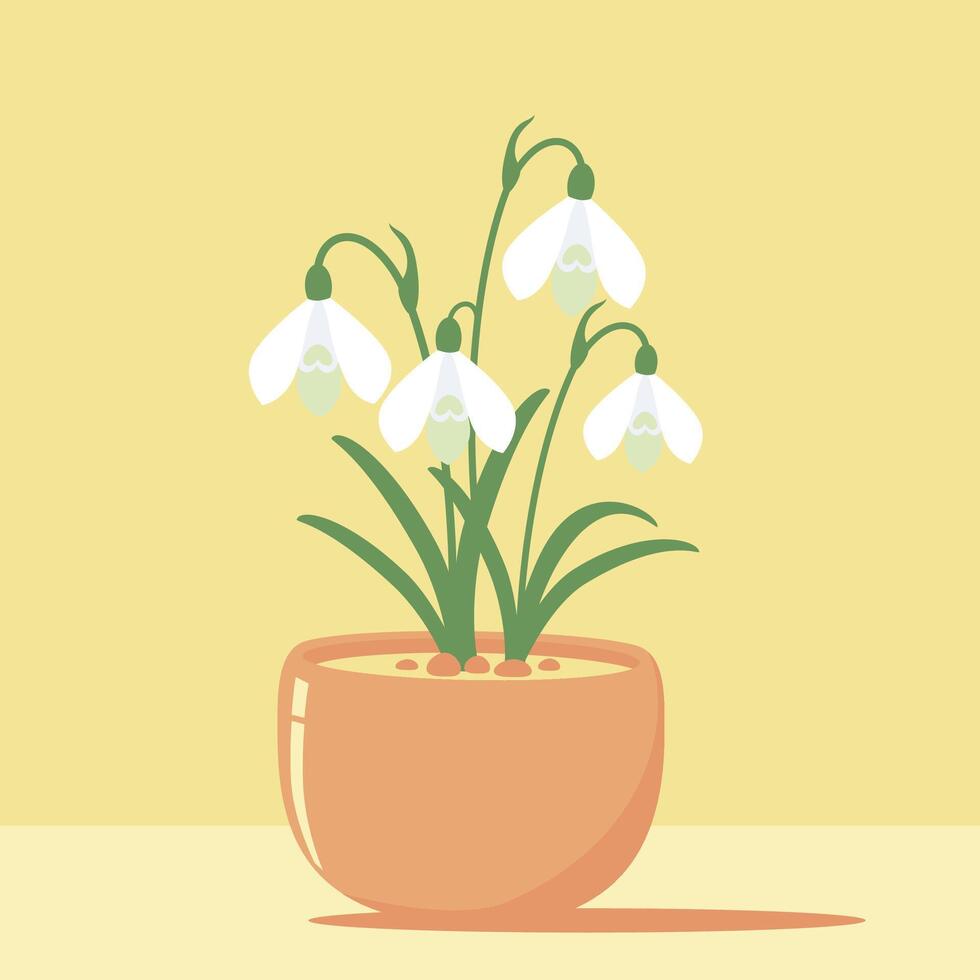 Snowdrop flower in pot. vector