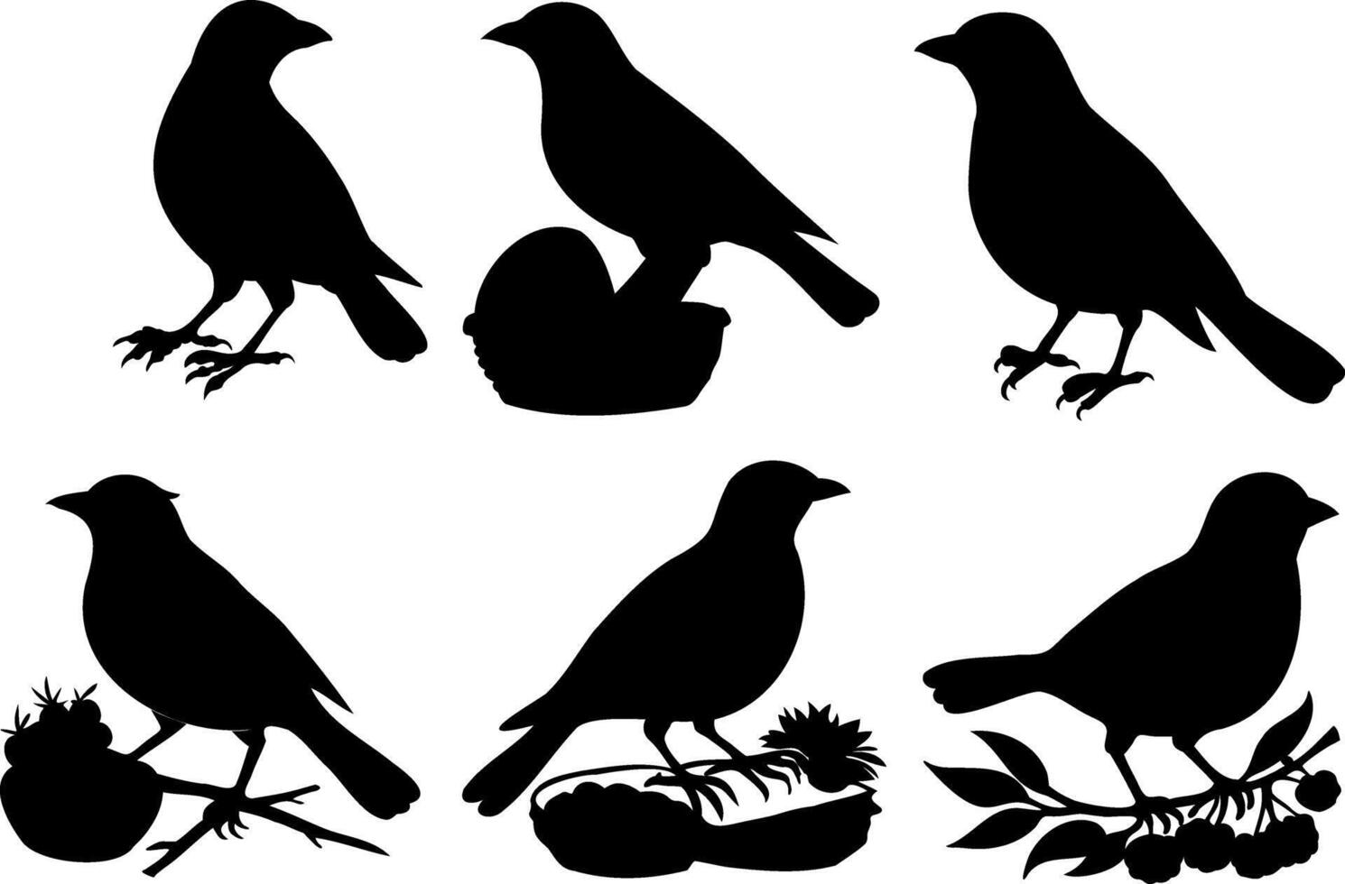 Silhouettes Illustration of bird vector
