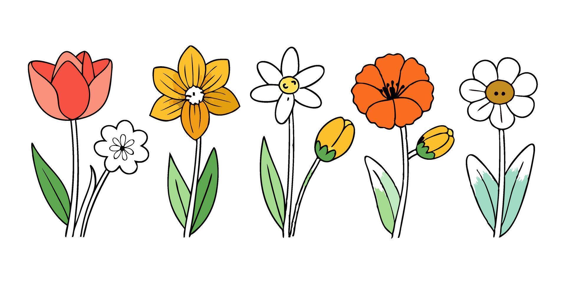 Hand Drawn Line Flowers Set vector