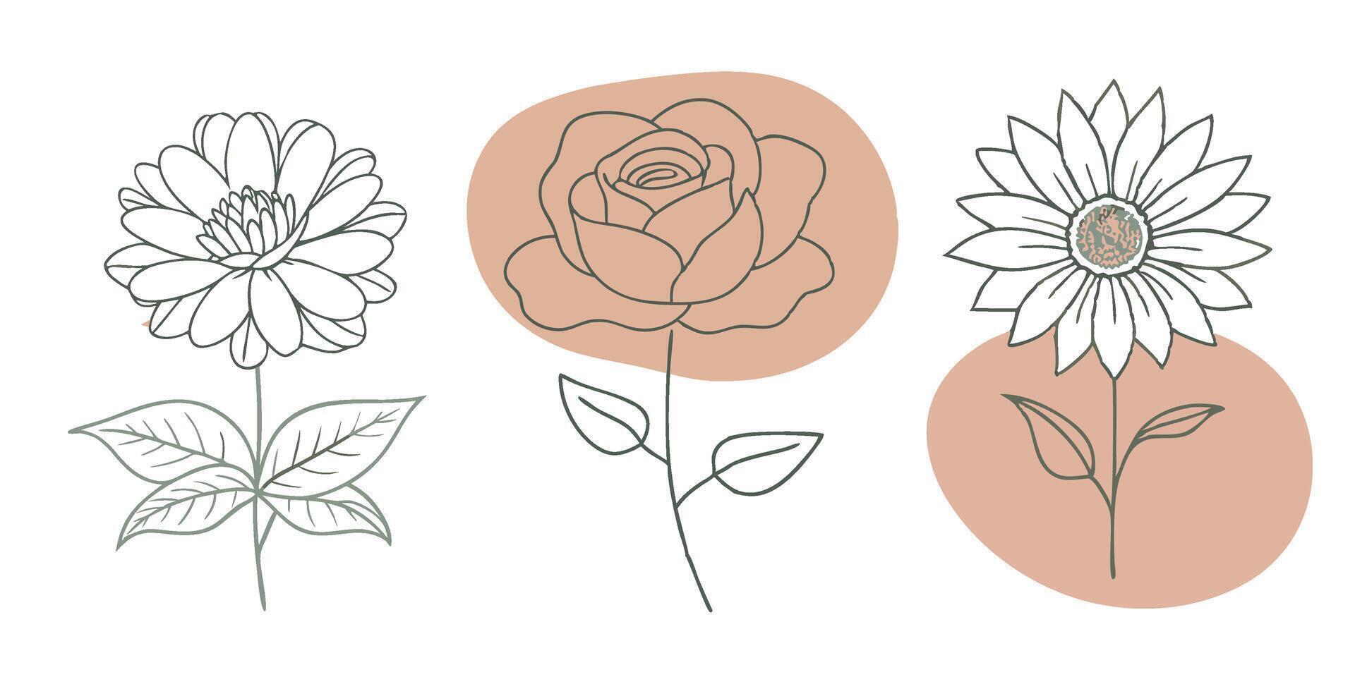 Hand Drawn Line Flowers Set vector