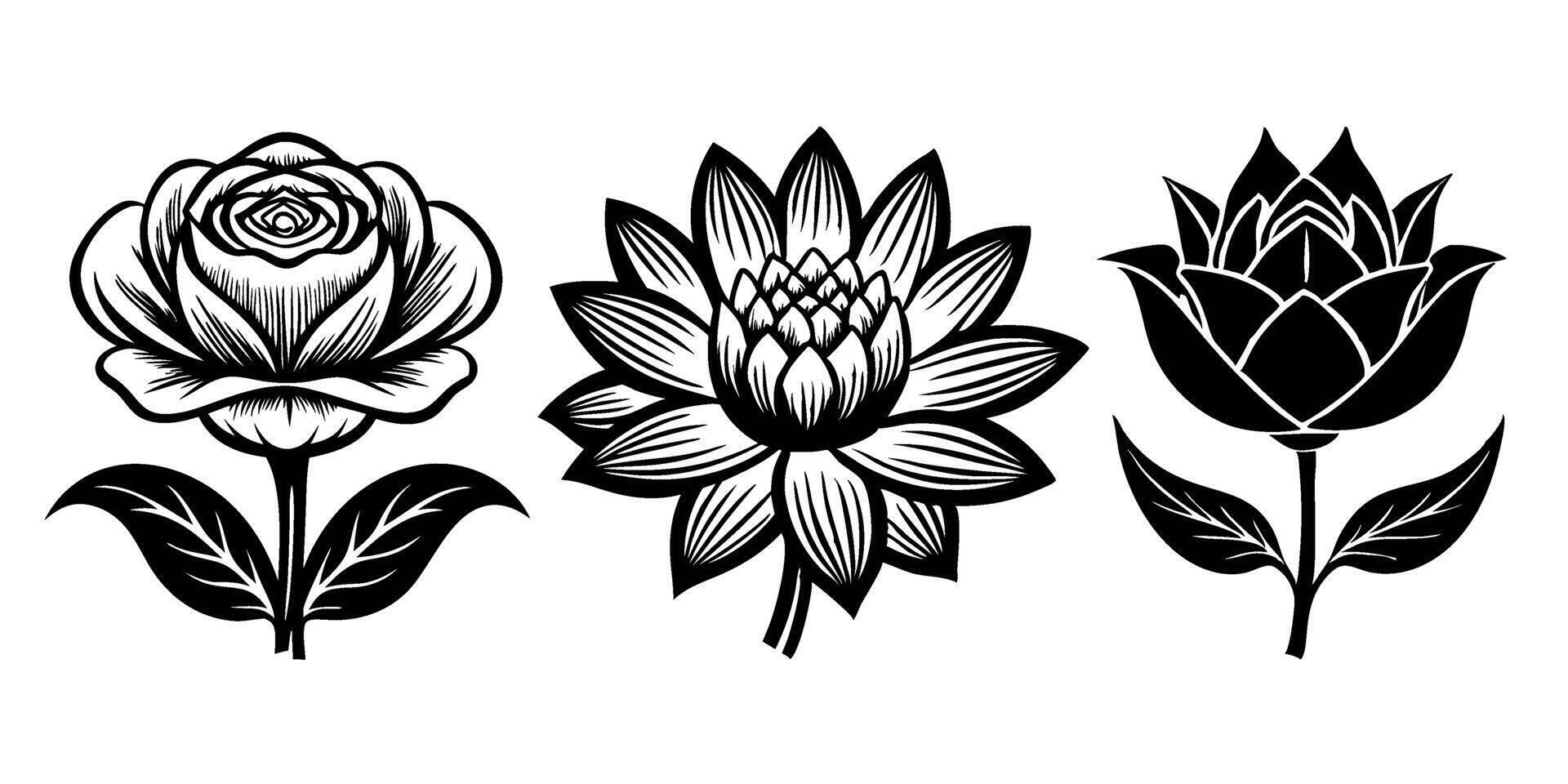 Hand Drawn Line Flowers Set vector