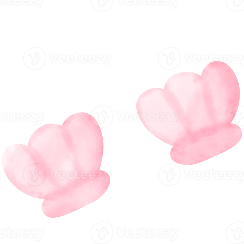 shell, sea shell png