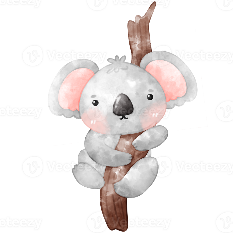 Cute Koala watercolor, koala , Koala bear png