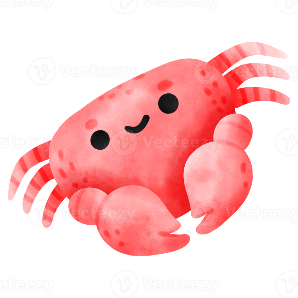 Cute Crab, Crab, Sea creature png