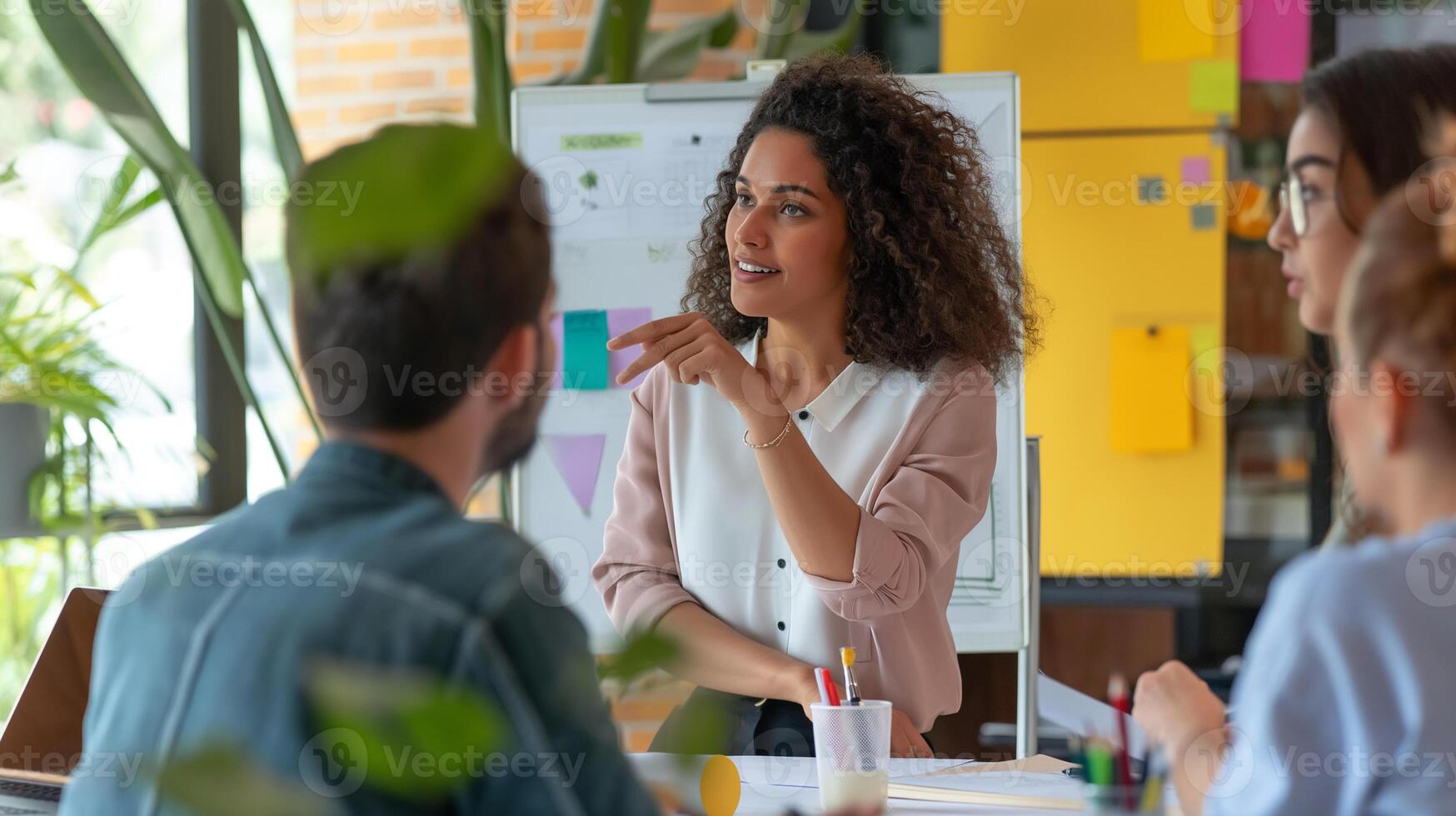 Business startup concept. The entrepreneur woman presents her project to the company. Colleagues brainstorming. photo