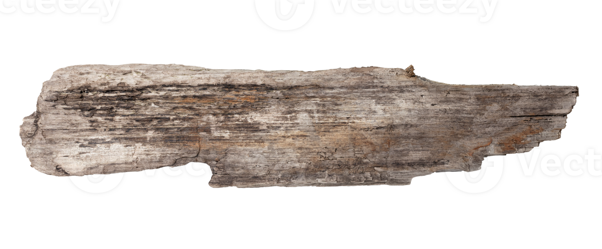 Sea drift wood plank isolated on transparent background. Template mockup png