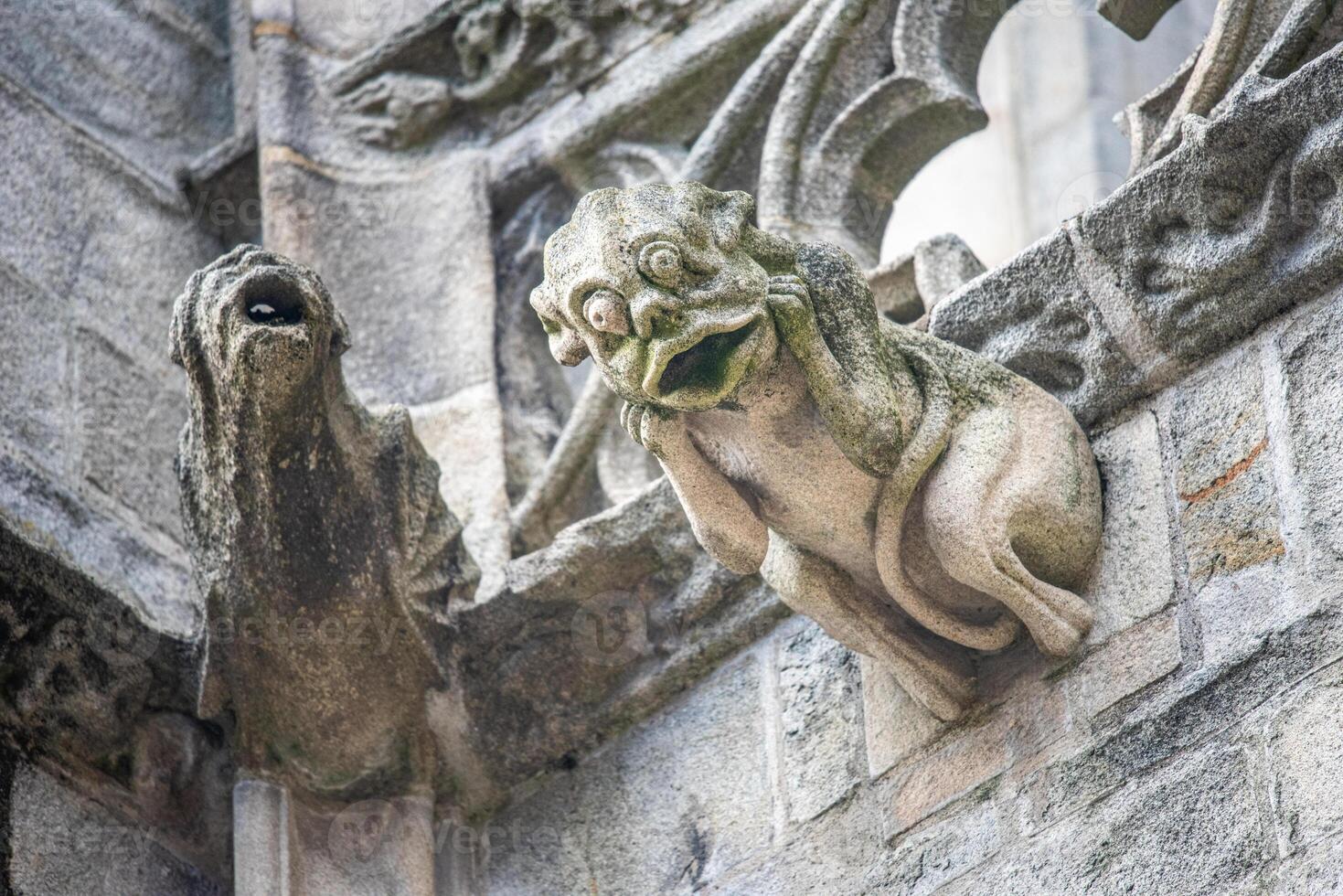 Gargoyle on Saint Corentin Cathedral in Quimper, Brittany, France photo