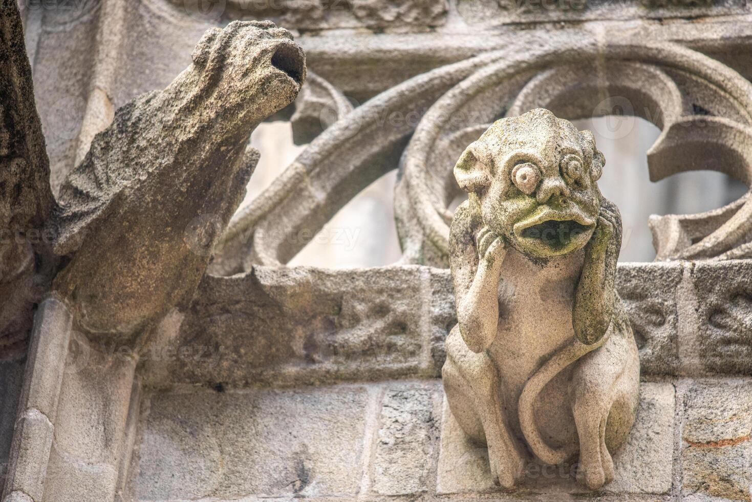 Gargoyle Details at Saint Corentin Cathedral in Quimper, Brittany photo