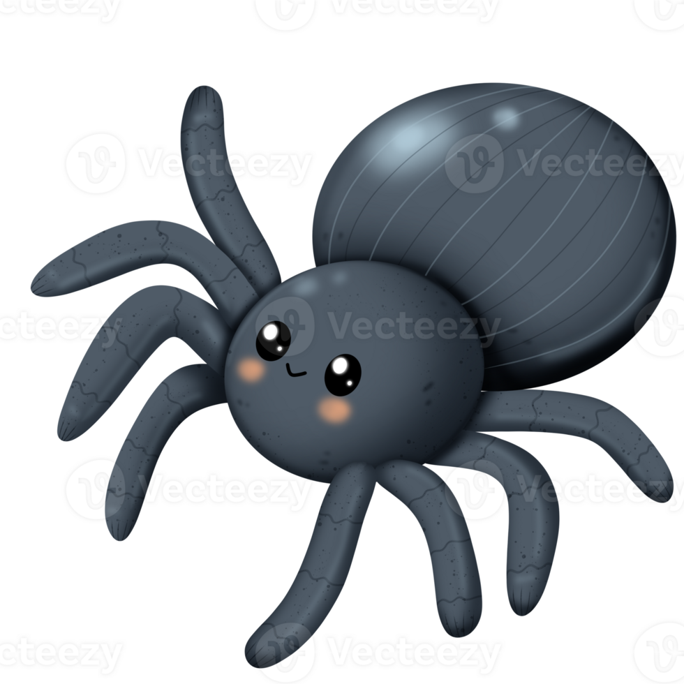 Cute spider halloween png