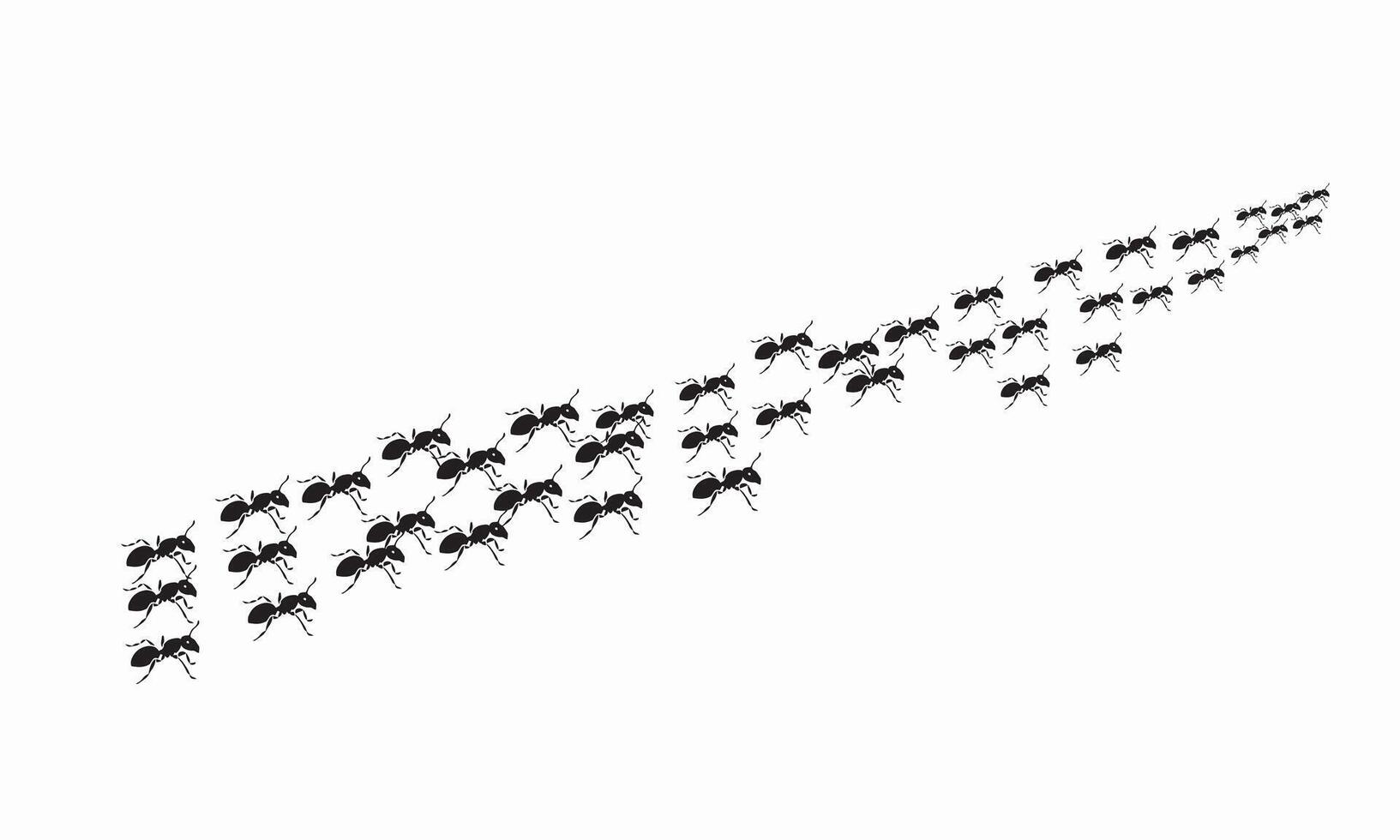 silhouette of ant on white background, illustration. vector