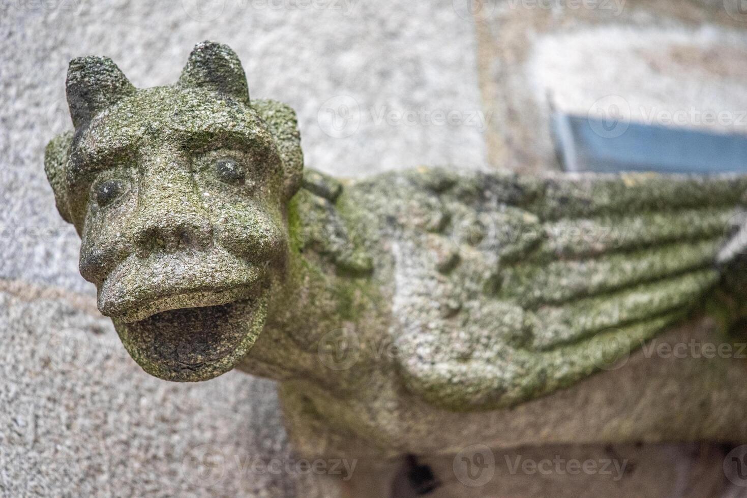 Gargoyle Statue At Saint Corentin Cathedral In Quimper, Brittany, France photo