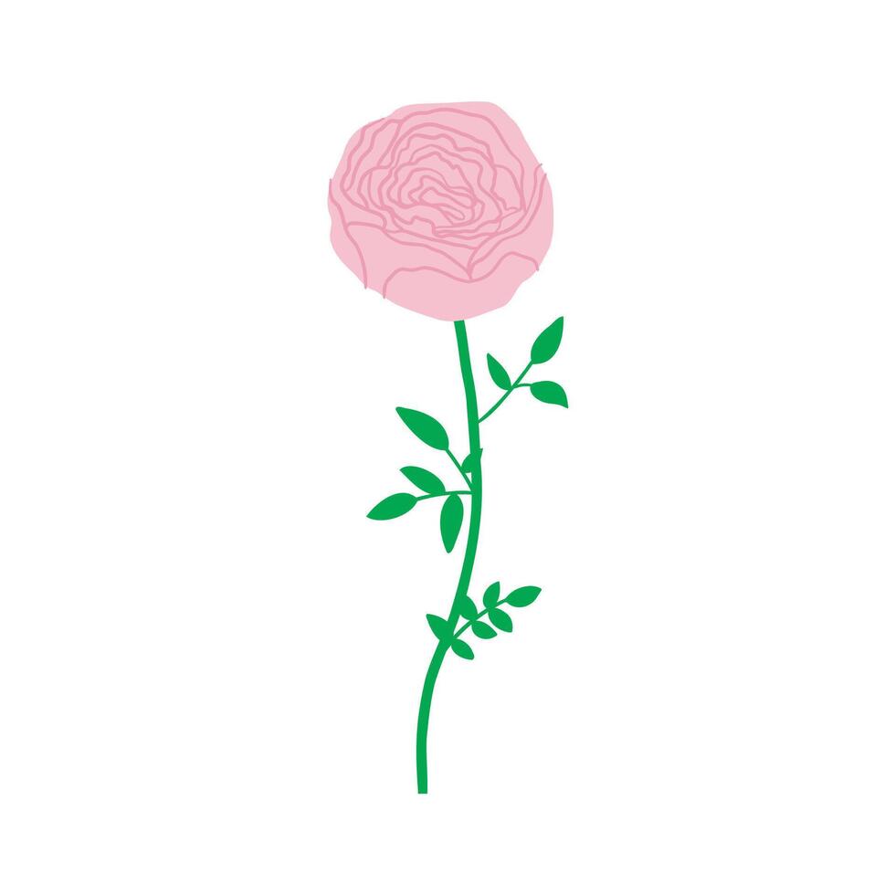 The rose is drawn by hand. Garden, flowers, plants. flat illustration. vector