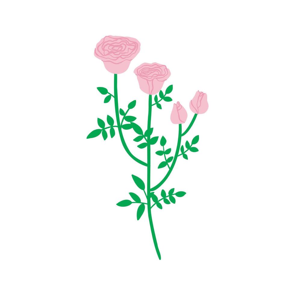 The rose is drawn by hand. Garden, flowers, plants. flat illustration. vector