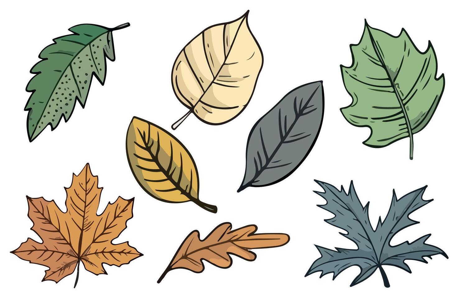 Autumn bright leaves. A variety of botanical illustrations for designers. vector