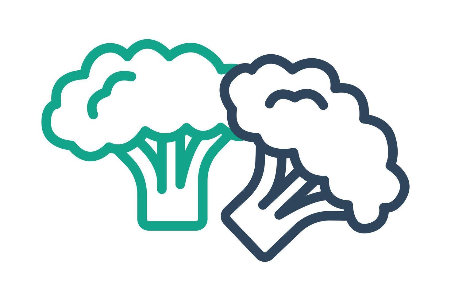 Broccoli icon. icon related to vegetables, healthy eating or vegetarian. line icon style. nutrition elements illustration vector