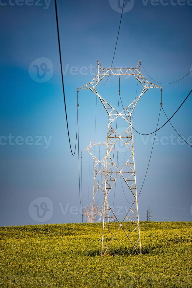 High Voltage Lines Across Sunflower Fields in Sanlucar la Mayor, Sevilla photo