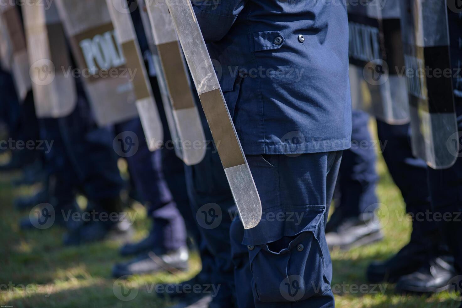 Riot police control the crowd.. photo