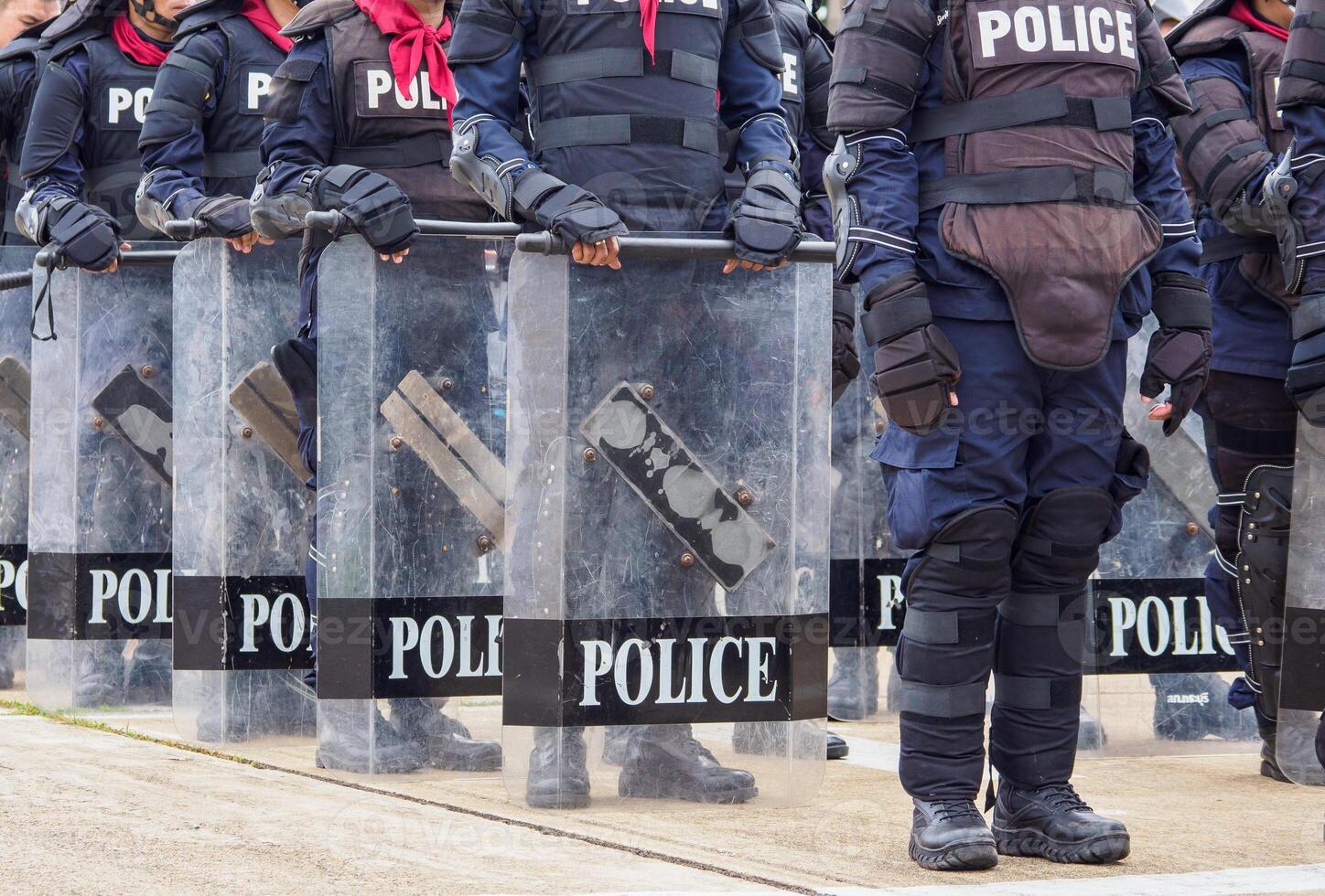 Riot police control the crowd.. photo