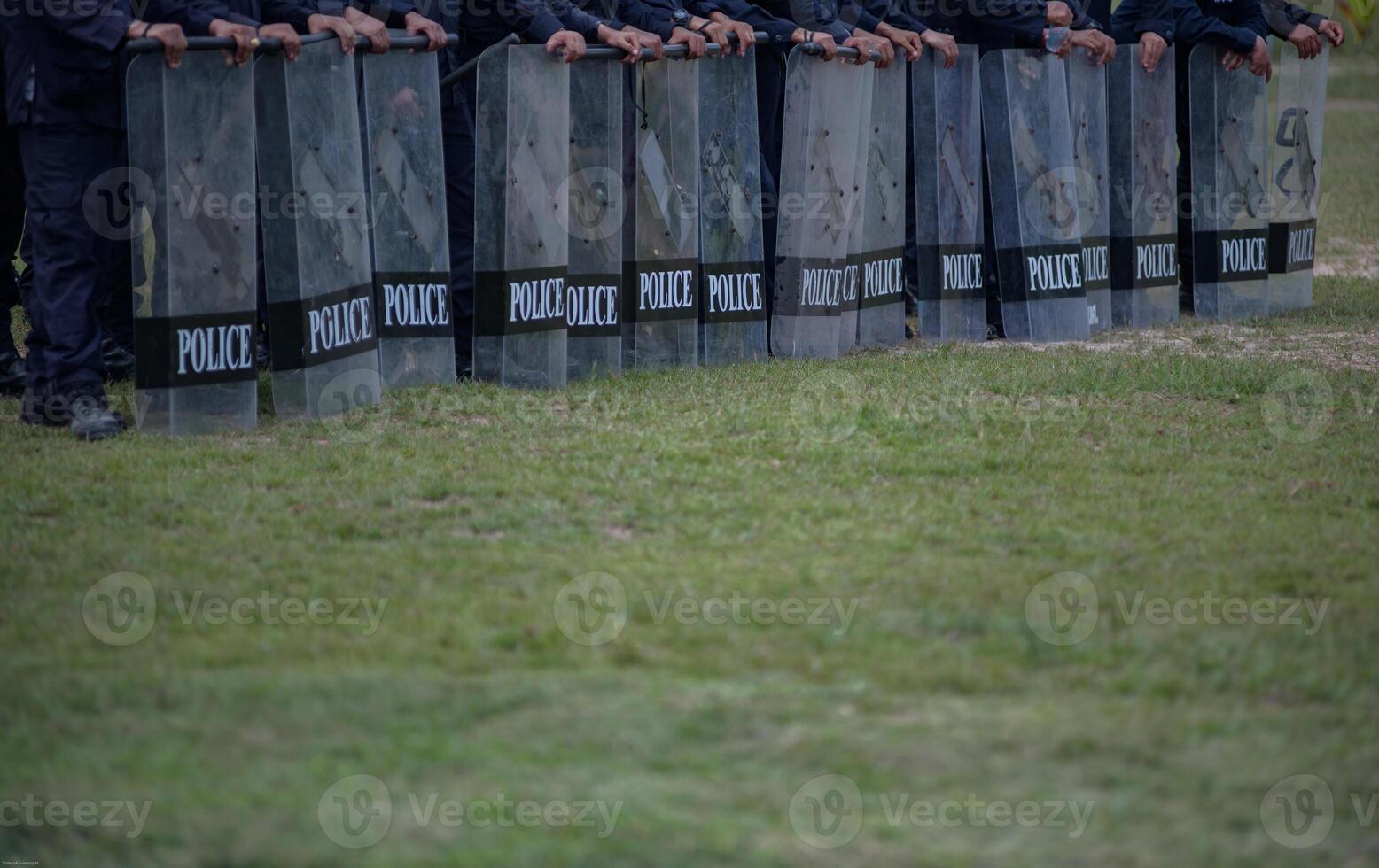 Riot police control the crowd.. photo