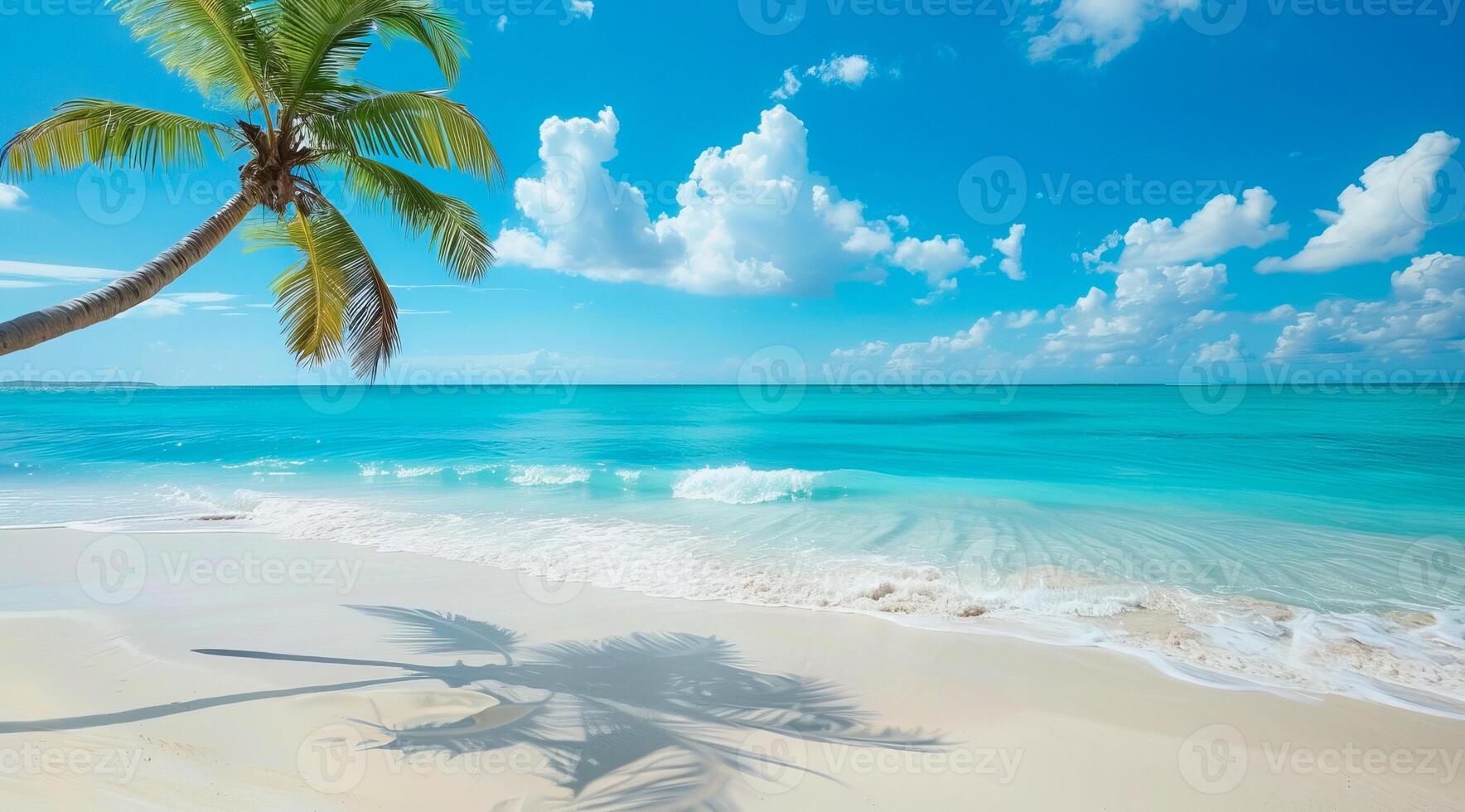 A beautiful beach with a palm tree in the foreground. Concept of relaxation, vacation and cruise photo