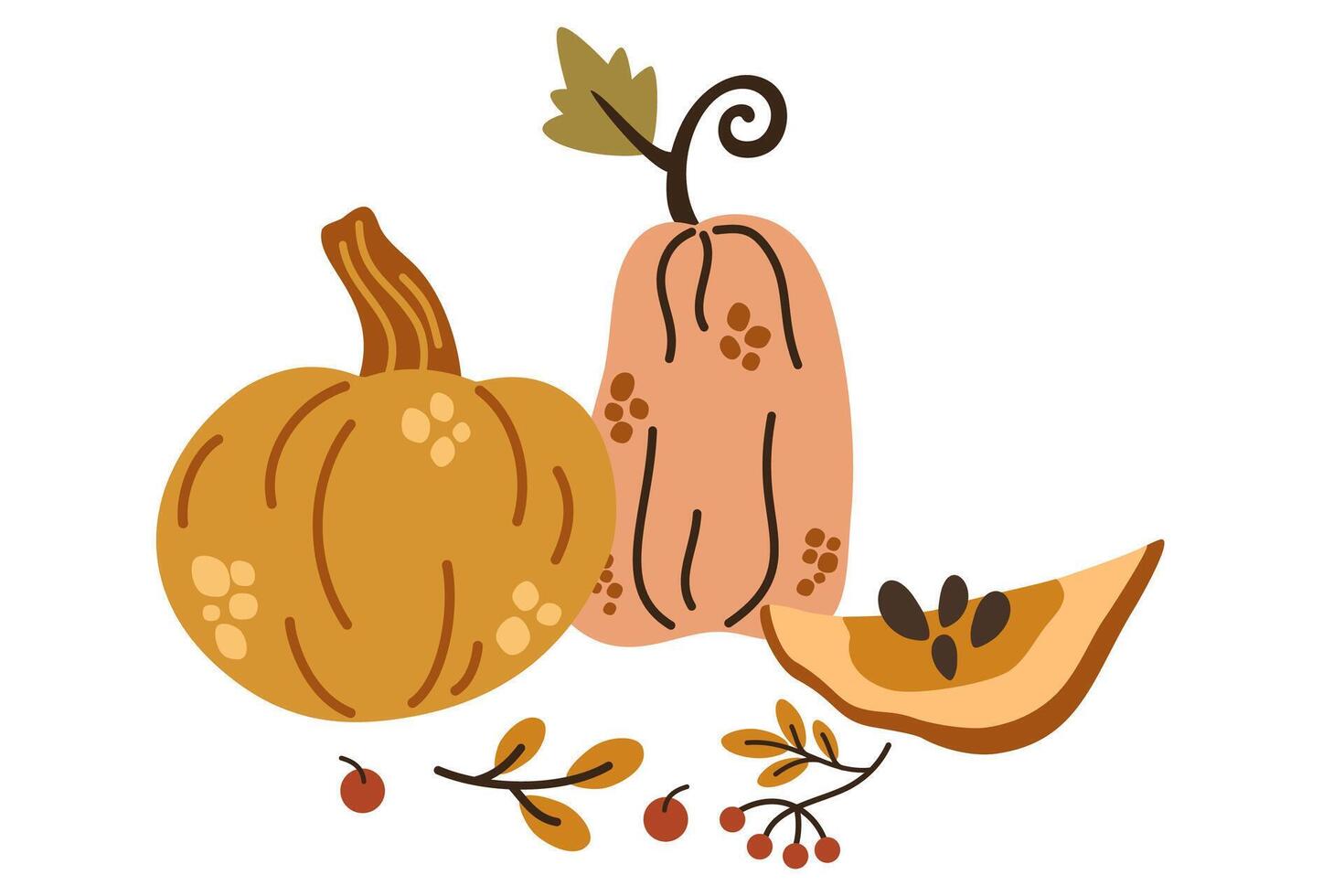 Autumn pumpkin, butternut squash and gourd of different shapes and sizes. Seasonal fall harvest. Halloween orange and yellow vegetables. Colored flat illustration isolated on white background vector